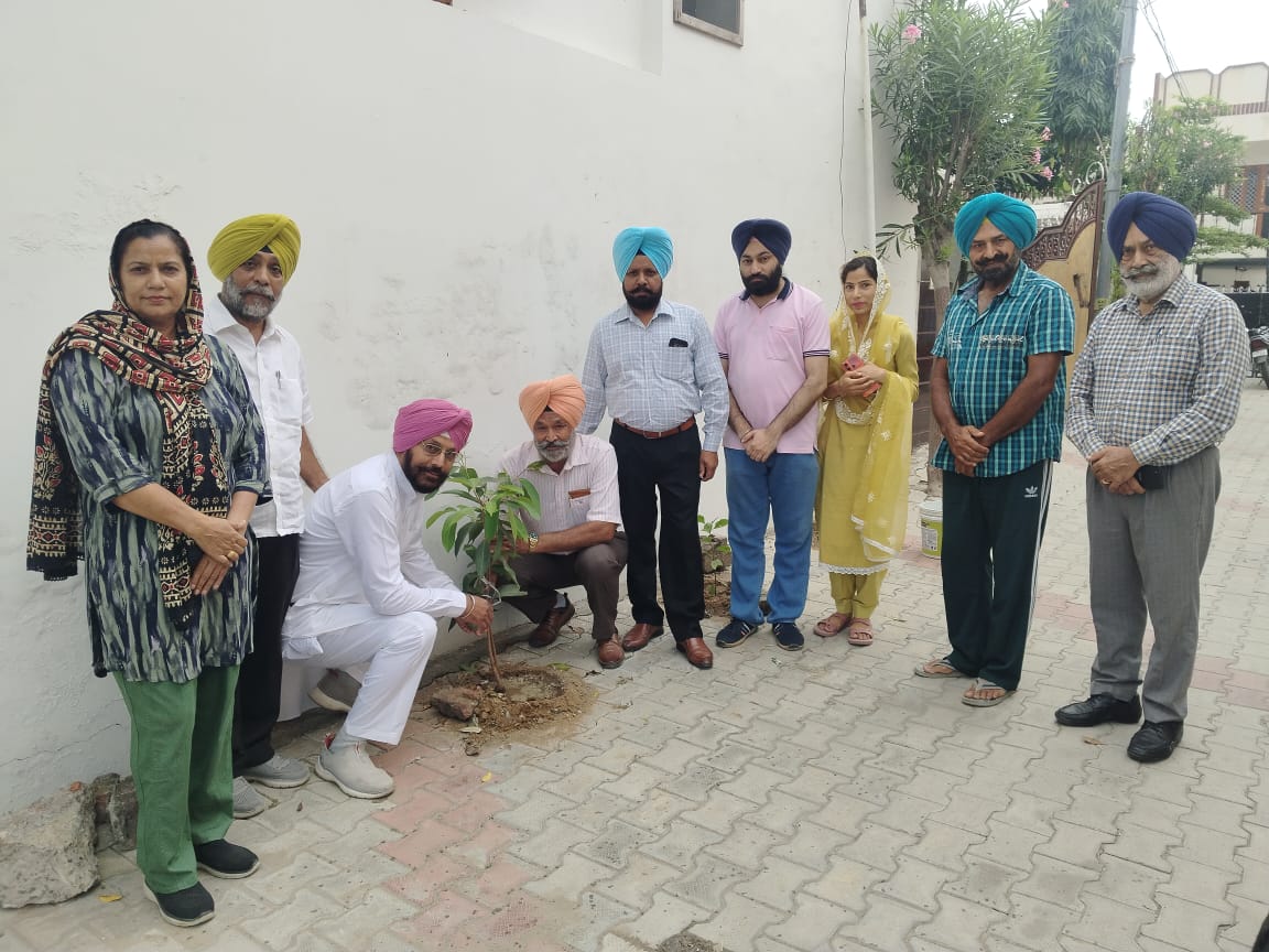 Under the banner of “Yadaan Bagga Diyan”, saplings were planted by the foundation on the 31st anniversary.